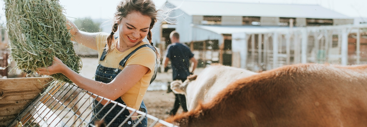 ΑΣΦΑΛΙΣΗ ΑΓΡΟΤΙΚΗ